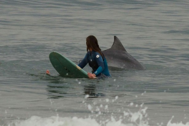 Una de delfines y surfistas