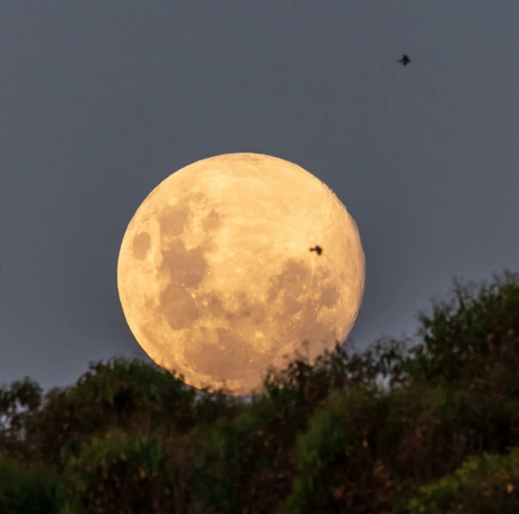 Se viene la primera luna llena del año