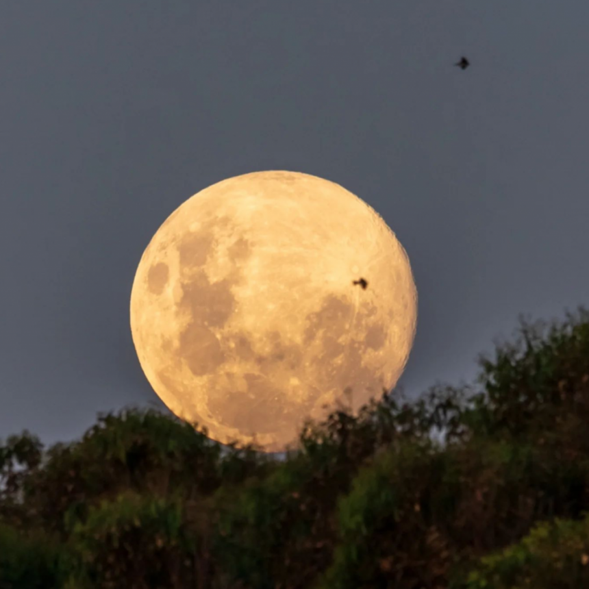 Se viene la primera luna llena del año