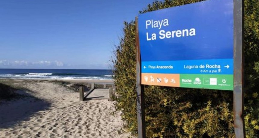 Caminata de reconocimiento de flora y fauna en La Serena